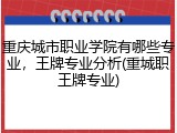 重庆城市职业学院有哪些专业，王牌专业分析(重城职王牌专业)