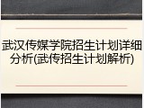 武汉传媒学院招生计划详细分析(武传招生计划解析)