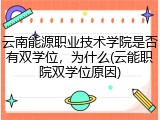 云南能源职业技术学院是否有双学位，为什么(云能职院双学位原因)