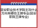 延安职业技术学院主攻什么方向有哪些王牌专业(延安职院王牌专业)