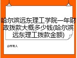 哈尔滨远东理工学院一年财政拨款大概多少钱(哈尔滨远东理工拨款金额)