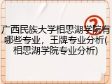广西民族大学相思湖学院有哪些专业，王牌专业分析(相思湖学院专业分析)