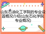山东石油化工学院的专业设置概况介绍(山东石化学院专业概况)