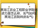 黑龙江农业工程职业学院师资力量怎么样，名气如何(黑龙江农院师资名气)
