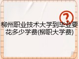 柳州职业技术大学到毕业要花多少学费(柳职大学费)