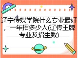 辽宁传媒学院什么专业最好，一年招多少人(辽传王牌专业及招生数)