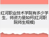 红河职业技术学院有多少学生，师资力量如何(红河职院师生规模)