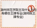 湖州师范学院主攻什么方向有哪些王牌专业(湖师院王牌专业)