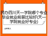 民办四川天一学院哪个专业毕业就业前景比较好(天一学院就业好专业)