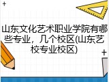 山东文化艺术职业学院有哪些专业，几个校区(山东艺校专业校区)