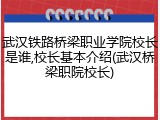 武汉铁路桥梁职业学院校长是谁,校长基本介绍(武汉桥梁职院校长)