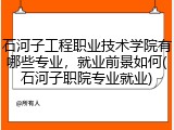 石河子工程职业技术学院有哪些专业，就业前景如何(石河子职院专业就业)