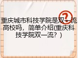 重庆城市科技学院是双一流高校吗，简单介绍(重庆科技学院双一流？)