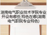 湖南电气职业技术学院专业开设有哪些,特色在哪(湖南电气职院专业特色)