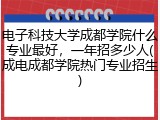 电子科技大学成都学院什么专业最好，一年招多少人(成电成都学院热门专业招生)