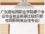 广东碧桂园职业学院哪个专业毕业就业前景比较好(碧桂园职院就业佳专业)