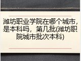 潍坊职业学院在哪个城市，是本科吗，第几批(潍坊职院城市批次本科)