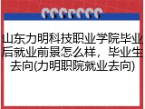 山东力明科技职业学院毕业后就业前景怎么样，毕业生去向(力明职院就业去向)