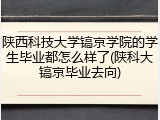 陕西科技大学镐京学院的学生毕业都怎么样了(陕科大镐京毕业去向)