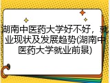 湖南中医药大学好不好，就业现状及发展趋势(湖南中医药大学就业前景)