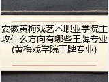 安徽黄梅戏艺术职业学院主攻什么方向有哪些王牌专业(黄梅戏学院王牌专业)