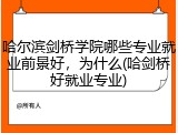 哈尔滨剑桥学院哪些专业就业前景好，为什么(哈剑桥好就业专业)