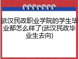 武汉民政职业学院的学生毕业都怎么样了(武汉民政毕业生去向)