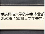 重庆科技大学的学生毕业都怎么样了(重科大学生去向)