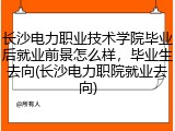 长沙电力职业技术学院毕业后就业前景怎么样，毕业生去向(长沙电力职院就业去向)