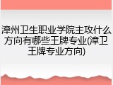 漳州卫生职业学院主攻什么方向有哪些王牌专业(漳卫王牌专业方向)