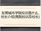 东莞城市学院校训是什么，校长介绍(莞院校训及校长)