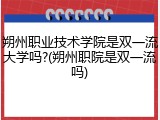 朔州职业技术学院是双一流大学吗?(朔州职院是双一流吗)