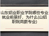 山东铝业职业学院哪些专业就业前景好，为什么(山铝职院高薪专业)