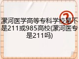 漯河医学高等专科学校是不是211或985高校(漯河医专是211吗)