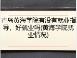 青岛黄海学院有没有就业指导，好就业吗(黄海学院就业情况)