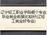 辽宁轻工职业学院哪个专业毕业就业前景比较好(辽轻工就业好专业)