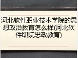 河北软件职业技术学院的思想政治教育怎么样(河北软件职院思政教育)
