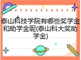 泰山科技学院有哪些奖学金和助学金呢(泰山科大奖助学金)
