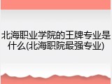 北海职业学院的王牌专业是什么(北海职院最强专业)