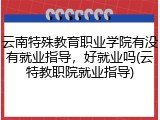 云南特殊教育职业学院有没有就业指导，好就业吗(云特教职院就业指导)
