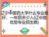 辽宁中医药大学什么专业最好，一年招多少人(辽中医优势专业招生数)