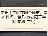 安阳工学院在哪个城市，是本科吗，第几批(安阳工学院 本科 二批)