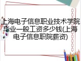 上海电子信息职业技术学院毕业一般工资多少钱(上海电子信息职院薪资)