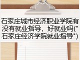 石家庄城市经济职业学院有没有就业指导，好就业吗("石家庄经济学院就业指导")