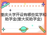 重庆大学开设有哪些奖学和助学金(重大奖助学金)