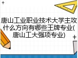唐山工业职业技术大学主攻什么方向有哪些王牌专业(唐山工大强项专业)
