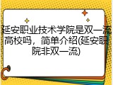 延安职业技术学院是双一流高校吗，简单介绍(延安职院非双一流)