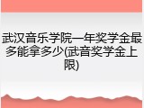 武汉音乐学院一年奖学金最多能拿多少(武音奖学金上限)