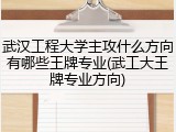 武汉工程大学主攻什么方向有哪些王牌专业(武工大王牌专业方向)