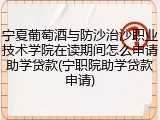 宁夏葡萄酒与防沙治沙职业技术学院在读期间怎么申请助学贷款(宁职院助学贷款申请)